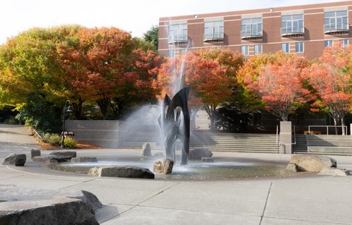 Photo of fountain with trees in background