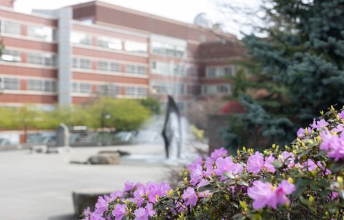 A fountain in front of a building with purple flowers.