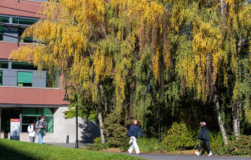 Campus greens for sustainability