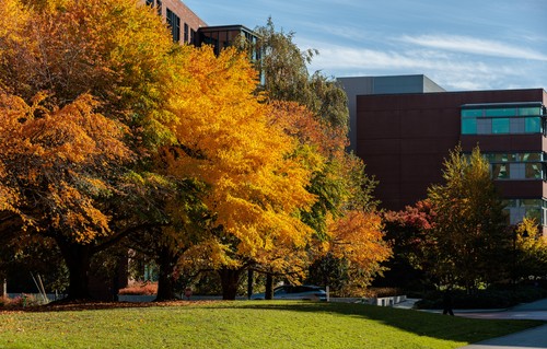 SU in the News outside campus shot
