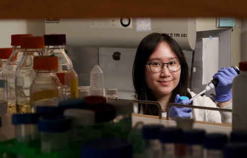 STEM Clare Luce grant image