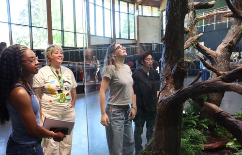 Project Center Zoo photo at tree.jpeg