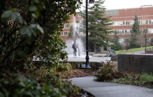 A fountain in a park.