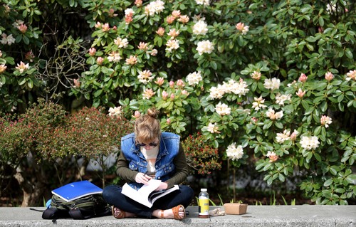 A person sitting on the ground reading a book.