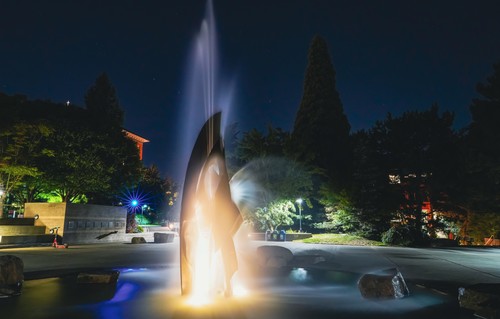 Fountain at night