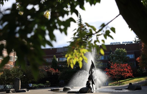 Fountain with leaves in foreground