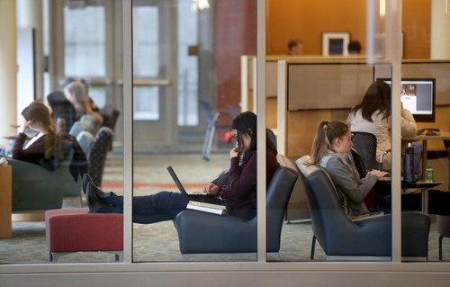 Students studying by a window