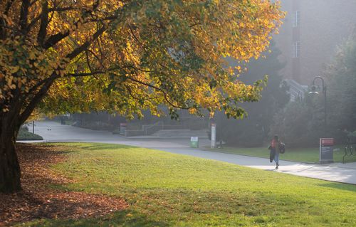 Fall Campus Colors