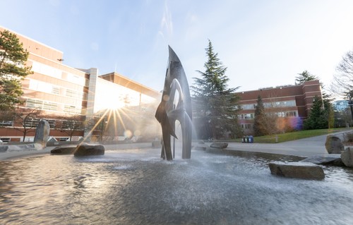 A fountain in front of a building with trees in the background.