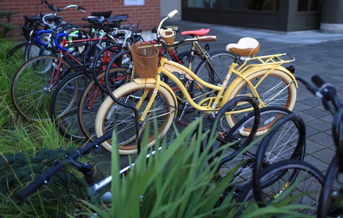 A group of bicycles parked in a row.