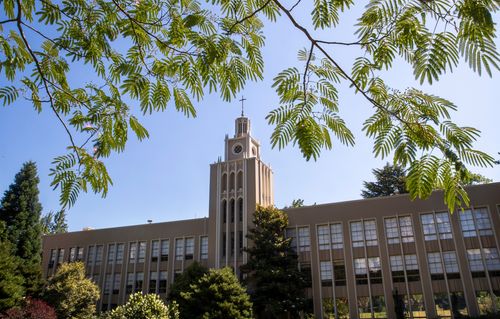 Administration building on a sunny blue sky day