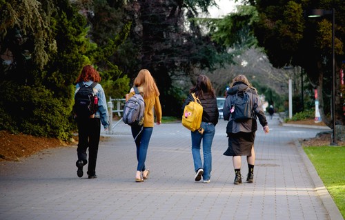 Backs of four students walking down the mall