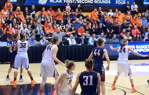 Referee Bryan Brunette in basketball game