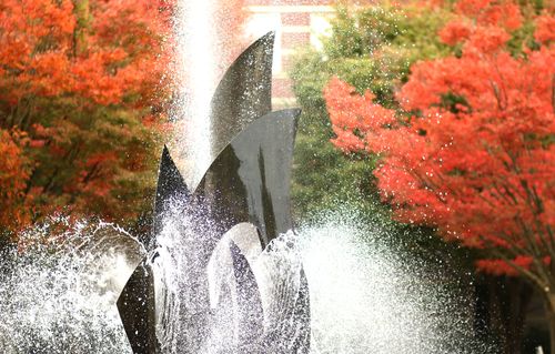 Fall Scenes on Campus