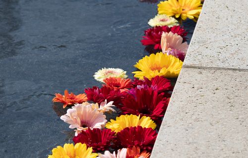 Flowers floating in the Chapel of St. Ignatius Reflection Pool