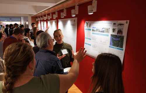 Students at CSE project day