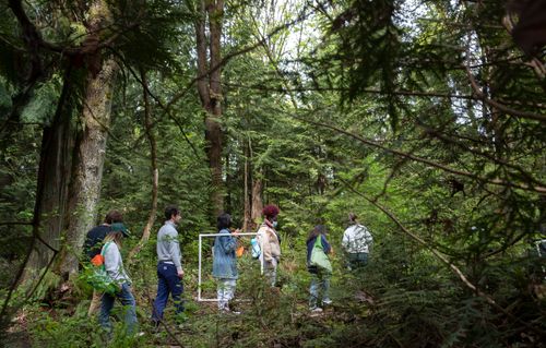 Students Walking Through the Trees