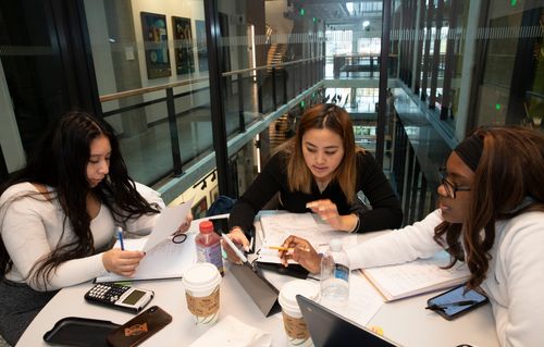 Three students talk while studying