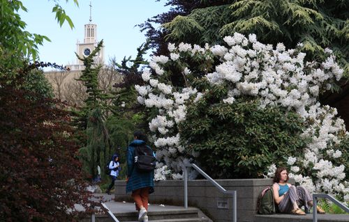 Student sitting in the quad