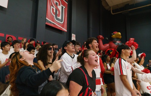 Homecoming weekend crowd shot.jpeg