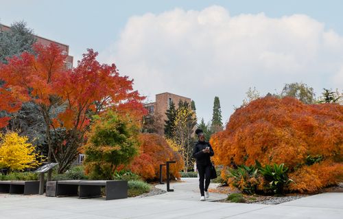 Student walking near Sinegal with fall leaves in background