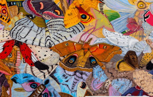 Neddy Award no text graphic