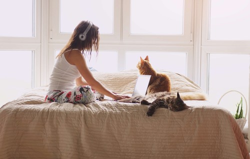 Girl studying with a cat