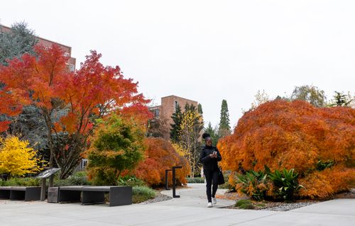 student walking through the quad