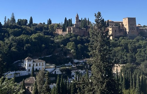 On top of a hill and surrounded by trees lies the Alhambra