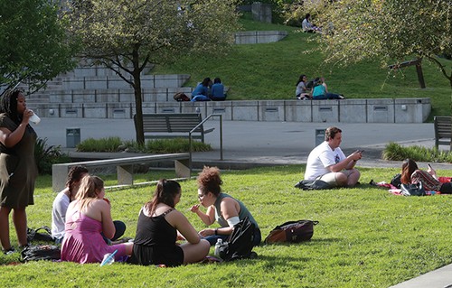 Students sitting on lawn on sunny day