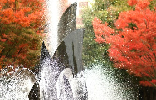 An image of a fountain in the fall.