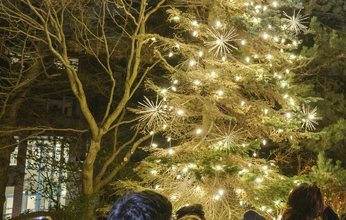 Students looking festive at the campus Christmas Tree Lighting event
