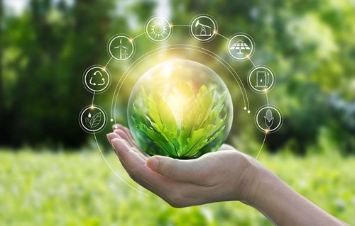 Green space with graphics for Laudato Si