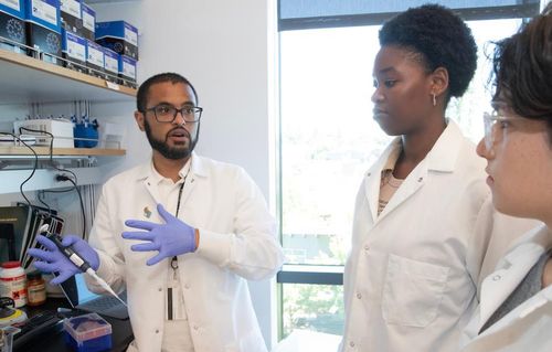 Christopher Whidbey works with junior Tusani Nhleko (center) and junior Megan Bigalk on research to determine the proteins in different gel samples.