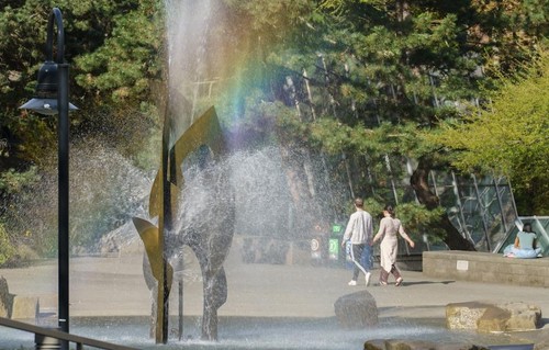 fountain in the green