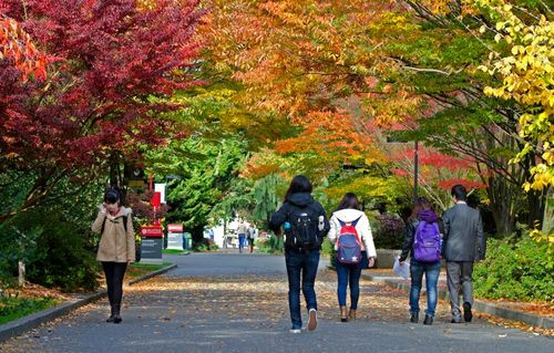 Students walking on campus in fall