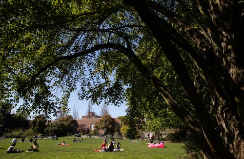 A group of people are sitting on a grassy field.