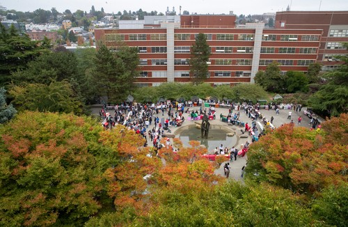 A group of people in a circle surrounded by trees.