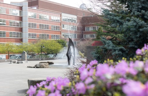 Spring Image
