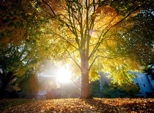 featured news image