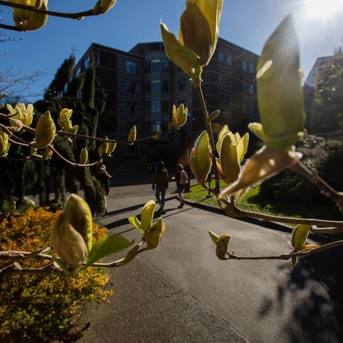 Medical Services Student Health Center Health Wellness Life At