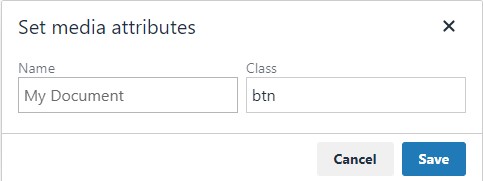 Screenshot showing how to set attributes on a media link