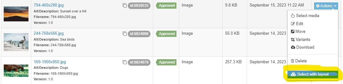 Screenshot showing the select layout option in the Media Library
